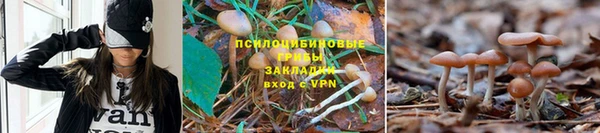 MESCALINE Куйбышев